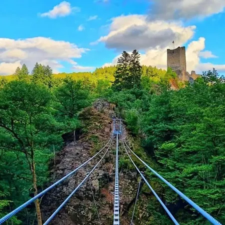 Burgstrasse Апартаменты Мандершайд